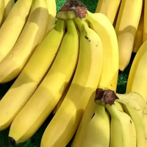 【本地卡文迪什香蕉】